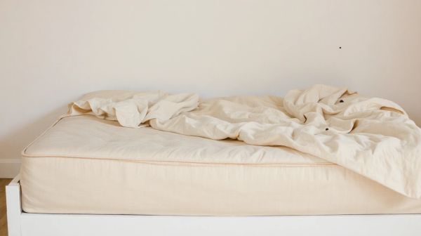Les symptômes des punaises de lit et réactions adaptatives