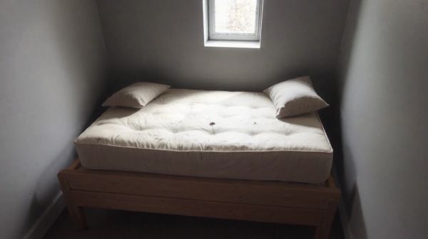 Les symptômes des punaises de lit et réactions adaptatives